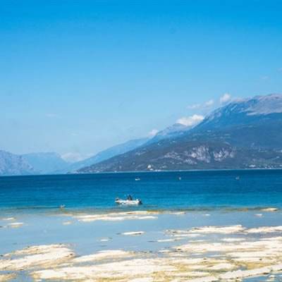 赏金女王免费安卓下载