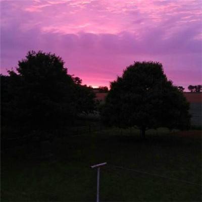 pg娱乐电子游戏