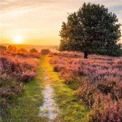 彩神lllv入口手机app下载