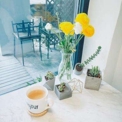 赏金女王免费安卓下载截图